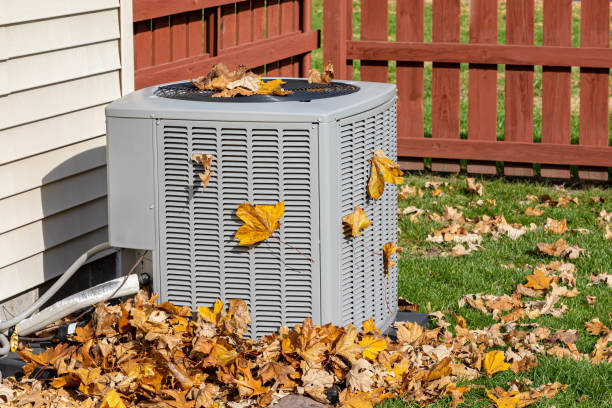 Best HVAC air duct cleaning  in Willard, UT